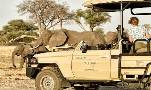 Zimbabwe Safari Packages, Holidays, Safari Jeep